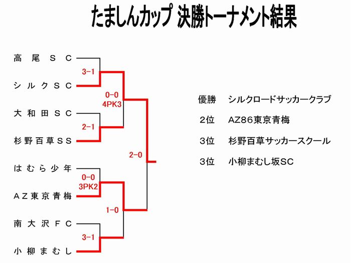 tamashin25_t4_s.jpg